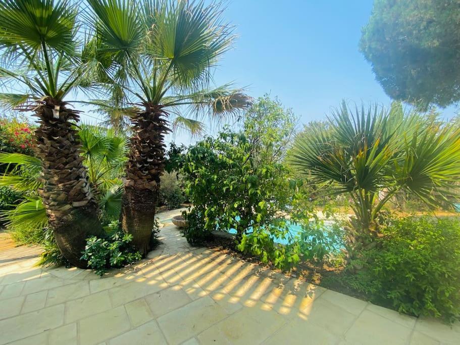 Atlantide - Somptueuse Villa Classee 4 Etoiles - Saint-Clair - Vue Exceptionnelle - Piscine Sète Extérieur photo